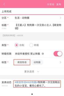 爆料视频从哪里投稿好呢,一网打尽热门渠道  第2张
